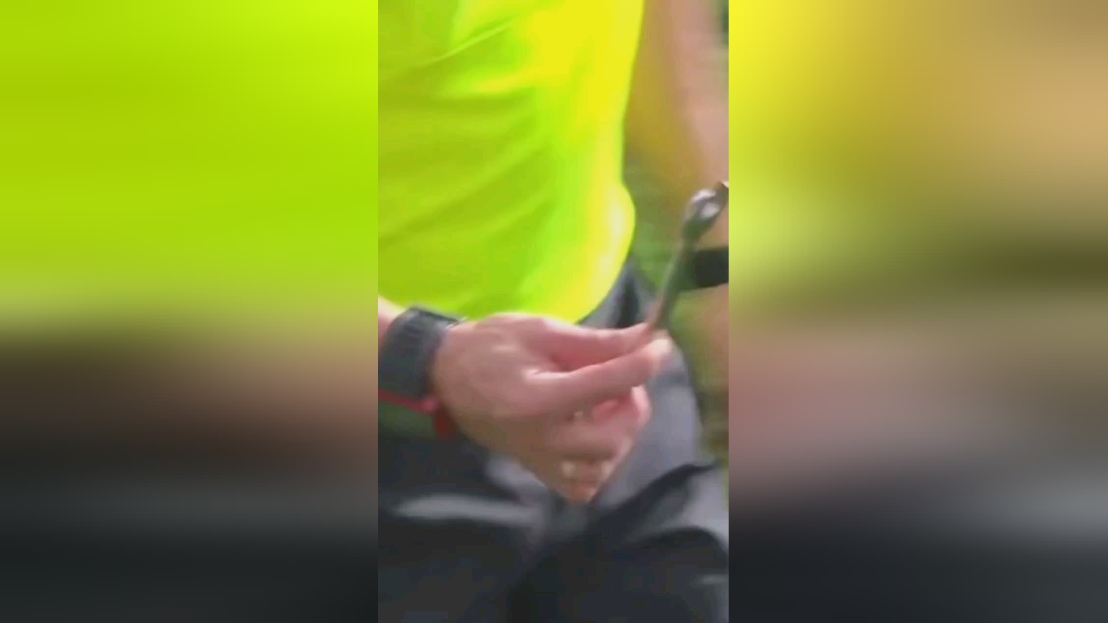 激起