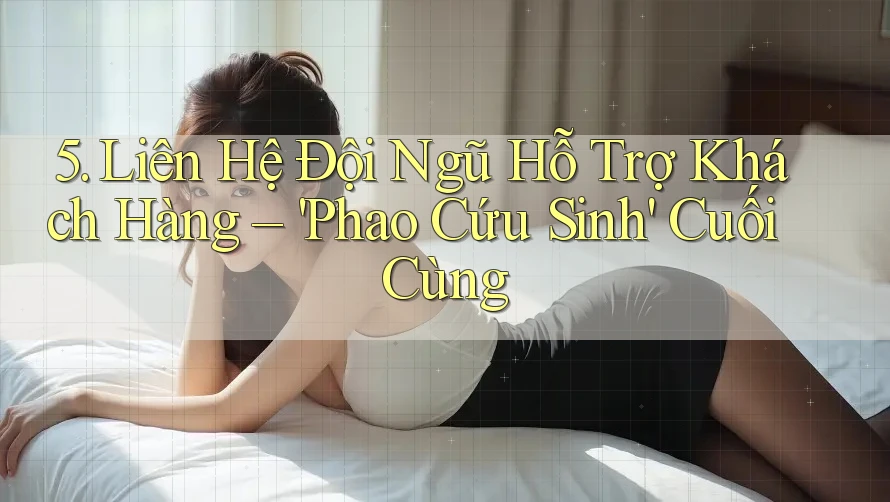 5. Liên Hệ Đội Ngũ Hỗ Trợ Khách Hàng – 'Phao Cứu Sinh' Cuối Cùng 5. Liên Hệ Đội Ngũ Hỗ Trợ Khách Hàng – 'Phao Cứu Sinh' Cuối Cùng