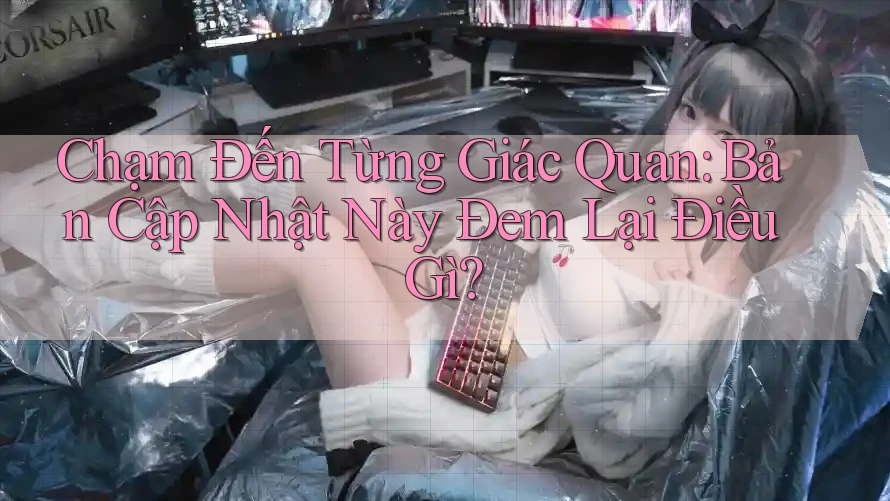 Chạm Đến Từng Giác Quan: Bản Cập Nhật Này Đem Lại Điều Gì? Chạm Đến Từng Giác Quan: Bản Cập Nhật Này Đem Lại Điều Gì?