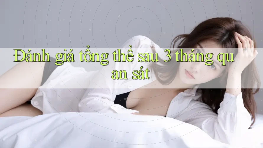 Đánh giá tổng thể sau 3 tháng quan sát Đánh giá tổng thể sau 3 tháng quan sát