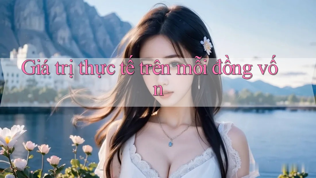 Giá trị thực tế trên mỗi đồng vốn Giá trị thực tế trên mỗi đồng vốn
