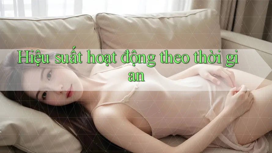 Hiệu suất hoạt động theo thời gian Hiệu suất hoạt động theo thời gian
