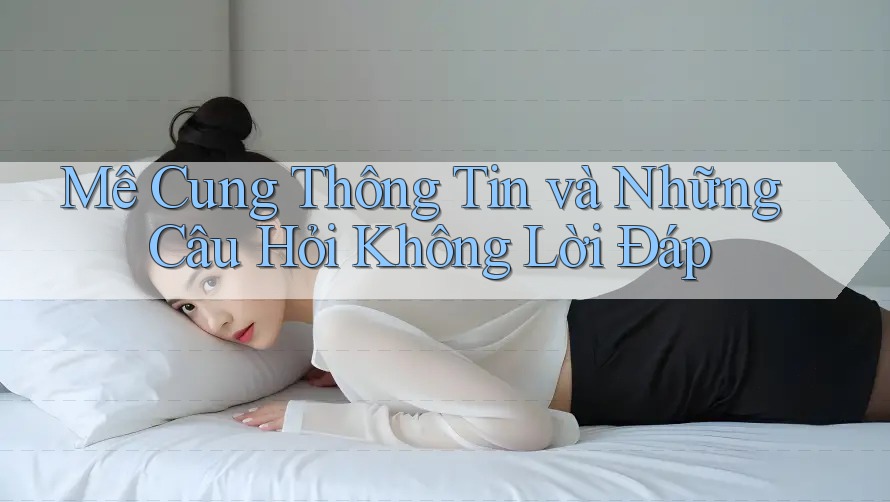 Mê Cung Thông Tin và Những Câu Hỏi Không Lời Đáp Mê Cung Thông Tin và Những Câu Hỏi Không Lời Đáp