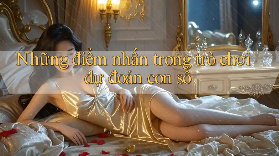 Những điểm nhấn trong trò chơi dự đoán con số Những điểm nhấn trong trò chơi dự đoán con số