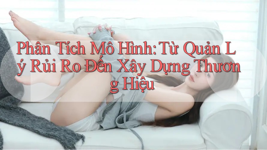Phân Tích Mô Hình: Từ Quản Lý Rủi Ro Đến Xây Dựng Thương Hiệu Phân Tích Mô Hình: Từ Quản Lý Rủi Ro Đến Xây Dựng Thương Hiệu