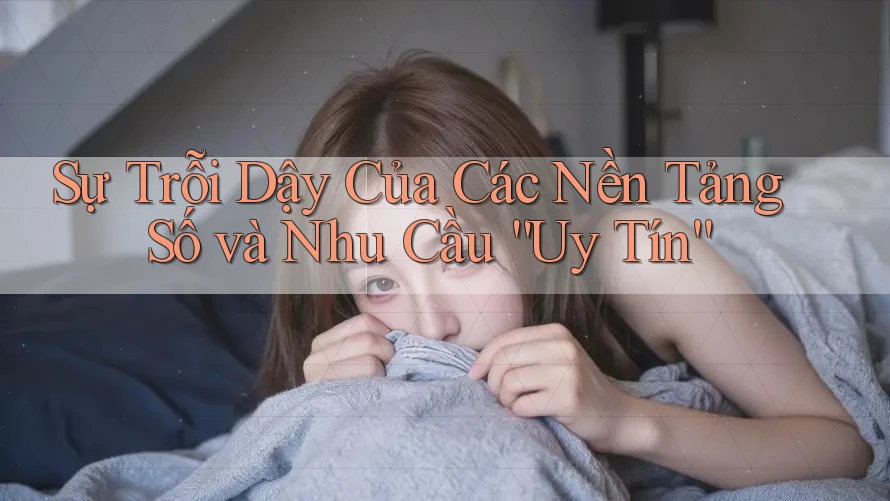 Sự Trỗi Dậy Của Các Nền Tảng Số và Nhu Cầu “Uy Tín” Sự Trỗi Dậy Của Các Nền Tảng Số và Nhu Cầu “Uy Tín”