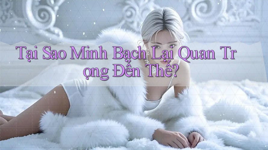 Tại Sao Minh Bạch Lại Quan Trọng Đến Thế? Tại Sao Minh Bạch Lại Quan Trọng Đến Thế?