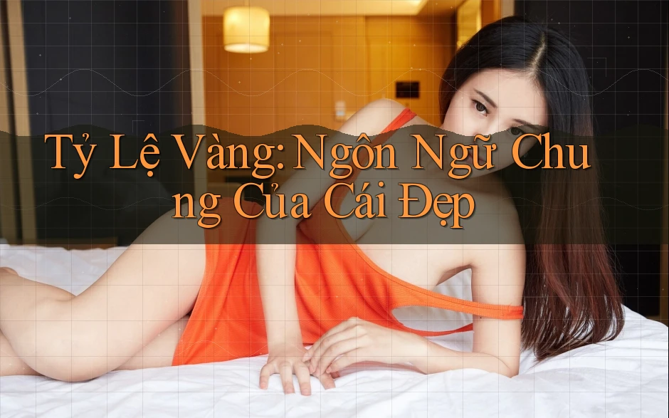 Tỷ Lệ Vàng – Ngôn Ngữ Chung Của Cái Đẹp Tỷ Lệ Vàng – Ngôn Ngữ Chung Của Cái Đẹp